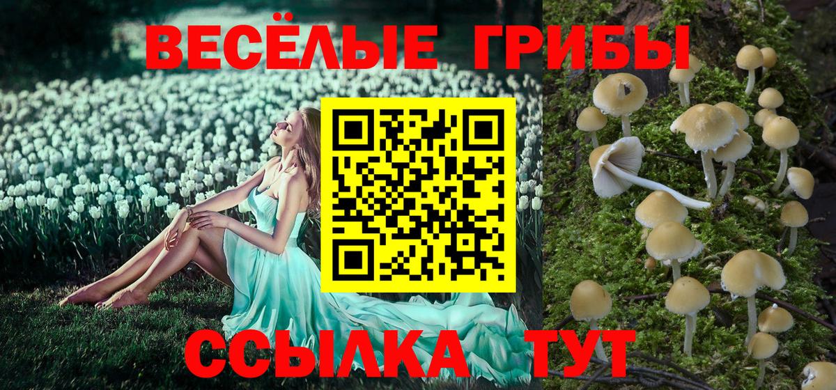 Галлюциногенные грибы мицелий Апрелевка