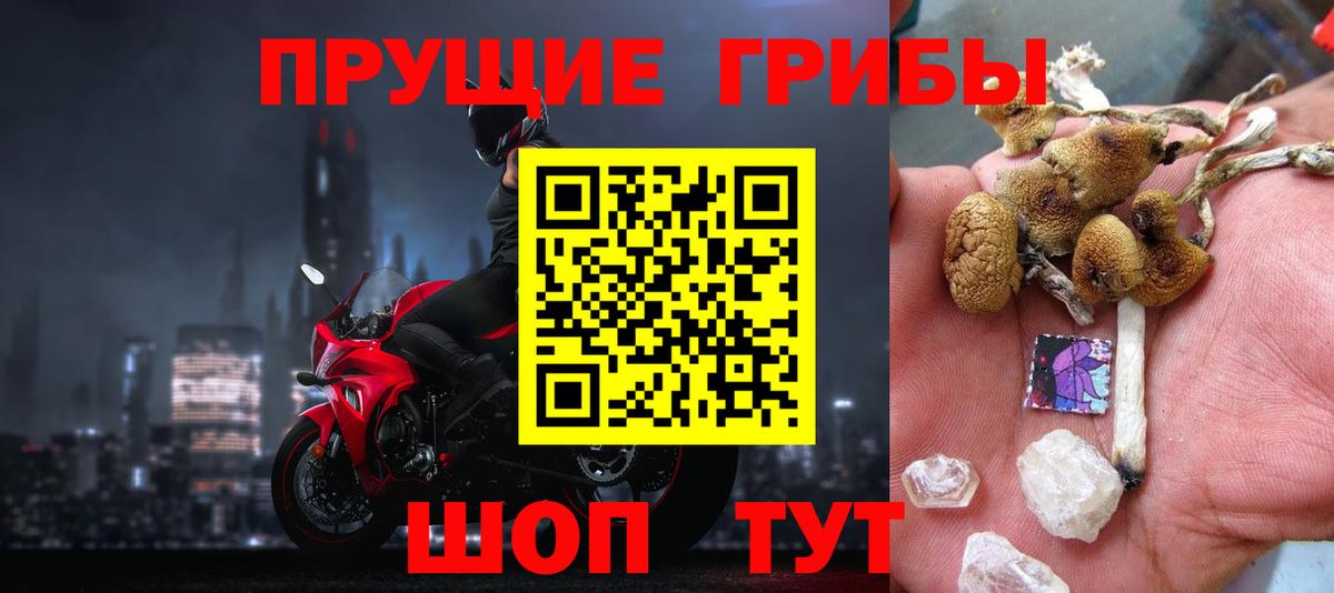 Галлюциногенные грибы GOLDEN TEACHER  Вход с VPN  Апрелевка  Псилоцибиновые грибы Cubensis 